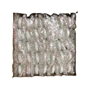 Marca WL, Modelo WL109, Precio de Fábrica al por Mayor, Mini Luz LED para Blanqueamiento Dental, Acelerador de 5 LED, Bandeja Bucal de PP Suave, Batería CR2032 - Product Image 5