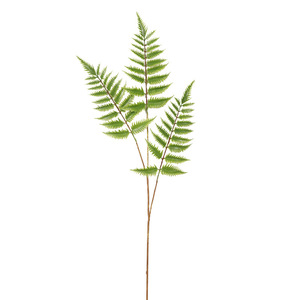 ใบเฟิร์นประดิษฐ์สูง 85 ซม. ดอกไม้พลาสติกผ้าไหมจำลอง ตกแต่งภายใน แพ็คหลายชิ้น - Product Image 5