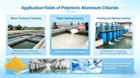 Alibaba Gold-Lieferant 30% Polyaluminiumchlorid PAC für Papierfabriken
