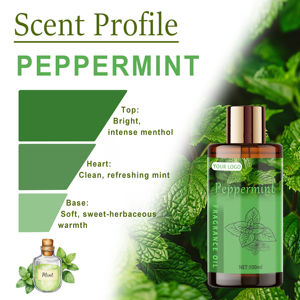<span class=keywords><strong>Huile</strong></span> essentielle de <span class=keywords><strong>menthe</strong></span> <span class=keywords><strong>poivrée</strong></span> 100 ml en gros, <span class=keywords><strong>huile</strong></span> essentielle de plante 100% pure et naturelle pour diffuseur d'arômes - Product Image 6