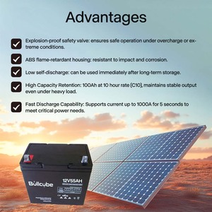 Batterie au plomb-acide Bullcube, prix usine, 12V 55Ah, pour l'énergie domestique, 12.8V GX-1255-LA, batterie au plomb-acide 12V - Product Image 6