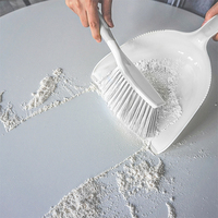 Vente chaude Mini balai de Table et ensemble de pelle à poussière brosse de nettoyage en plastique de haute qualité avec tête de balai en PET brosse de nettoyage de pelle à poussière