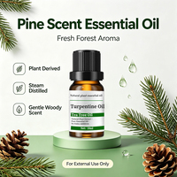 Huile Essentielle Végétale Pure Naturelle Biologique en Gros, Turpentine, Marque Privée, Résine, Odeur Fraîche