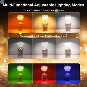 New <b>Wireless</b> Bottle Lamp, LED Bottle <b>Light</b> With Projection Function, Wine Bottle Lamp With 3 Color Temperature & RGB <b>Light</b> - Product Image 2