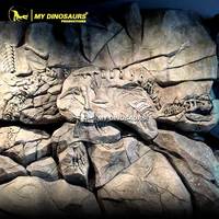 MY Dino SF12 Fossile de dinosaure ancien, fouille de fossiles de dinosaures, mur de fossiles de dinosaures