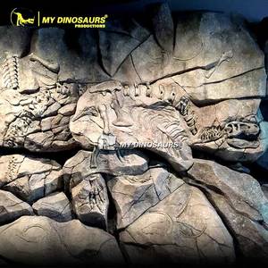MY Dino SF12 Fossile <span class=keywords><strong>di</strong></span> Dinosauro Antico da Scavare, Fossile <span class=keywords><strong>di</strong></span> Dinosauro da Parete - Product Image 2