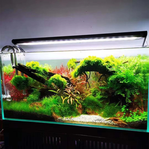 Lámpara de Crecimiento para Plantas Acuáticas WEEK AQUA P600/P900/P1200Pro Ver.3, Espectro Completo RGB+UV, Luz LED para Acuarios de Agua <span class=keywords><strong>Dulce</strong></span> - Product Image 6