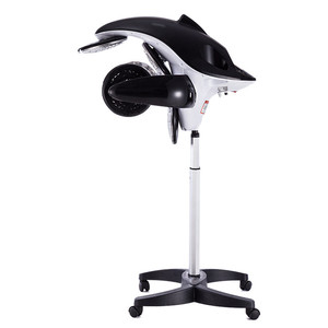 Appareil professionnel de coiffure numérique portable FYD : Sèche-<span class=keywords><strong>cheveux</strong></span>, accélérateur, vapeur et machine à permanente – Équipement électrique de beauté - Product Image 1