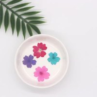 Fleurs séchées pressées pour fabrication de bijoux, 50 pièces, en résine, pour faire soi-même, R460