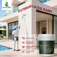 Peinture murale extérieure LOUISLONG en acrylique imperméable, résistante aux UV, membrane liquide d'étanchéité pour toiture, application au pinceau