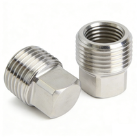 Raccord de tuyauterie fileté NPT BSP en acier inoxydable 316, embout carré solide, 1/8" 1/2" 3/4"