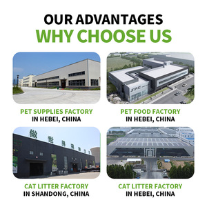 Bestseller 2.5Kg 100% Natuurlijke Gezonde 99% Stofvrij En Zeer Absorberend Geurbestrijding Milieuvriendelijk Doorspoelbare Tofu Kattenbakvulling - Product Image 3