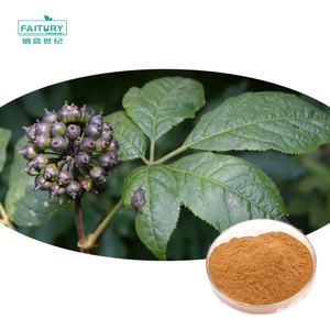 Fabrika kaynağı Acanthopanax Eleutherococcus Senticosus kök ekstresi tozu B + E sibirya Ginseng özü - Product Image 2
