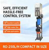 Mesin Pengolahan Air Reverse Osmosis Vertikal Komersial Kecil 250lph Mesin Pengolahan Air Reverse Osmosis