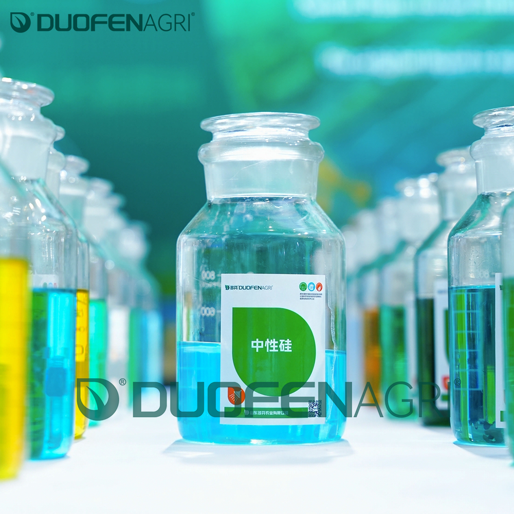 Wholesale 100g/L SiO2 Organic Liquid Foliar Fertilizer for Rice image 3