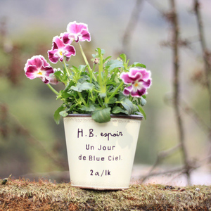 Pots à plantes succulentes en fer forgé, seaux à fleurs muraux, pots à fleurs <span class=keywords><strong>pour</strong></span> <span class=keywords><strong>terrasse</strong></span> extérieure, balcon, jardinières décoratives, plateaux à fleurs - Product Image 4