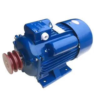 LANDTOP 1 Phase 3 Phase Power Generator Motors With Belt Pulley 220V 5hp/10hp/15hp/20hp/25hp/30hp Electrical Motor Engine