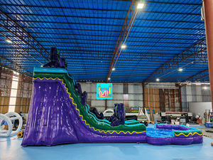 Toboganes de Agua Inflables Comerciales <span class=keywords><strong>para</strong></span> Adultos con <span class=keywords><strong>Piscina</strong></span> en Venta - <span class=keywords><strong>Comprar</strong></span> Tobogán de Agua Inflable - Product Image 4