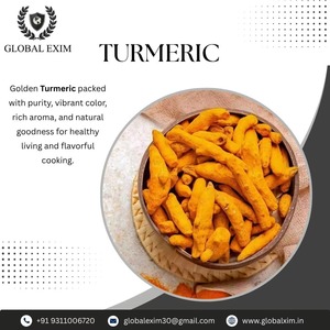 Raíz de Cúrcuma Seca Entera Premium |   Especias Naturales de Color Amarillo Dorado para Exportación, Uso Alimentario y Herbal - Product Image 1