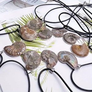 Conchiglia di pietra grezza minerale minerale esemplare naturale conchiglia ciondolo fossile collana per uomo <span class=keywords><strong>donna</strong></span> - Product Image 2