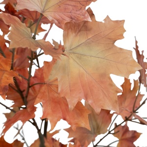 ต้นเมเปิลญี่ปุ่นสีแดงบอนไซพลาสติกประดิษฐ์จากญี่ปุ่นเหมือนจริงทนต่อลมทนรังสียูวีเป็นมิตรกับสิ่งแวดล้อม - Product Image 3