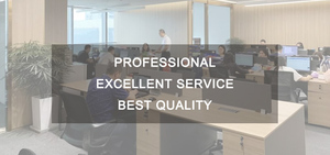 Chiave Professional Plus 2021 per PC Windows, Attivazione Online Globale <span class=keywords><strong>con</strong></span> Disponibilità Immediata - Product Image 4