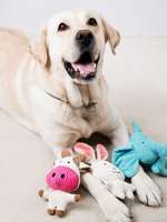 Jouets en peluche polaire mignons, couineurs et couineuses, à mâcher pour chiens, motif animal