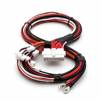 Harnais de câblage solaire OEM Solvet HX 20022 24 broches AWG18 UL1569 étanche IP68 pour contrôleur BMS de batterie au lithium et onduleur