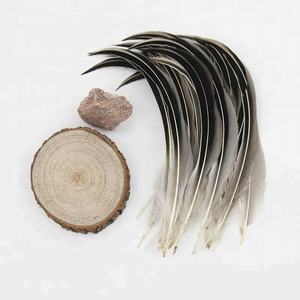 10-18cm punte delle <span class=keywords><strong>ali</strong></span> di anatra <span class=keywords><strong>con</strong></span> <span class=keywords><strong>piume</strong></span> curve <span class=keywords><strong>piume</strong></span> di anatra naturali per l'artigianato - Product Image 5
