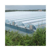 Serre Agricole Commerciale Multi-chapelles à Film Plastique, Cadre en Acier Galvanisé à Chaud, Taille Personnalisable, Prix Usine