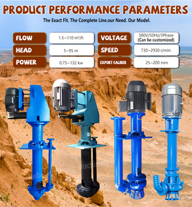 Pompe à boue verticale personnalisée pour les environnements marins et portuaires, utilisée pour l'aspiration de boue de navire, le nettoyage des sédiments de quai - Product Image 2