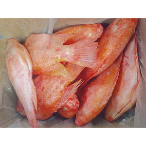Tilapia <span class=keywords><strong>Roja</strong></span> Congelada Entera Directo de Fábrica MOQ 20 Toneladas para Importadores de África - Product Image 6
