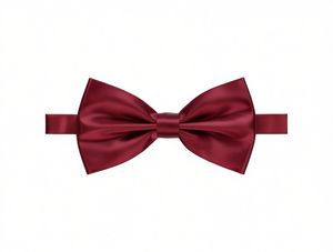 Papillon Lucido Monocolore Bordeaux in Seta Pre-Annodato, Accessorio Formale - Product Image 1