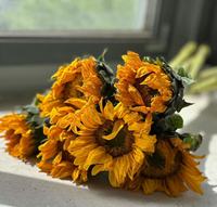 Bunga Kering Cantik Grosir Bunga Matahari Awet Satu Atap Kustom Berkualitas Tinggi untuk Dekorasi Rumah Acara Hari Raya Idul Fitri Diwali Hari Valentine