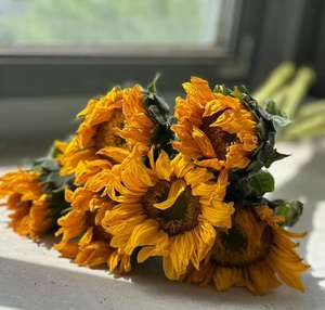 Magnifiques fleurs séchées en gros, tournesol préservé, personnalisation sur mesure de haute qualité pour l'Aïd, Diwali, la Saint-Valentin, la décoration de la maison et des événements - Product Image 3