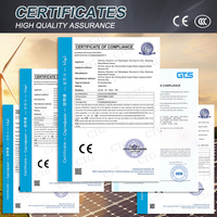 Boîtier de distribution d'énergie photovoltaïque RUIPEIN IP65 étanche à montage en surface, DC1000V 63A 1 entrée 1 sortie avec ATS et verrouillage biométrique