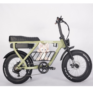 Super Power Vintage 52V 1000W 73 Model Dual Motor Bike Fatbike ATV08 Super 73 ATV08 - Product Image 2
