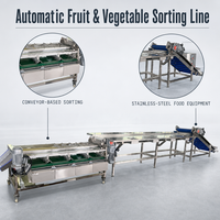 Machine de tri automatique des fruits et légumes pour la calibrage des produits agricoles, convoyeur et ligne de traitement sur mesure