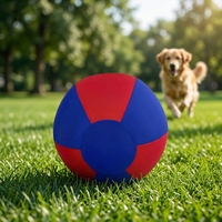 Ballon de dressage interactif pour chien en PVC Oxford de 65 cm, résistant aux morsures et aux éclats, étanche, idéal pour le yoga – Fabrication OEM