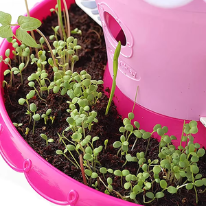 Nuevo juego de juguetes para plantar jardín de ensueño DIY, juego de macetas científicas para niños, juguetes educativos para niños - Product Image 6