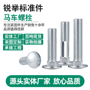Vis à tête cylindrique Ruiju M5 M6 M8 M10 en acier au carbone zingué, entièrement filetées, pour l'industrie de la construction - Product Image 5