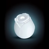 Großhandel Mini Rose Klitoris saugen Vibrator für Frauen weiblich leuchtende Rose Sexspielzeug USB-Netzteil Hot Selling Glow Dark Rose