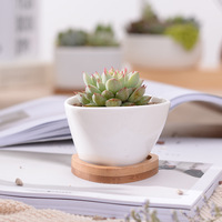 Petits pots de fleurs en céramique blancs triangulaires pour l'intérieur et l'extérieur avec des plateaux en bambou