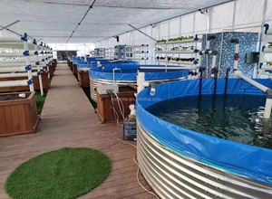 Réservoir Yu de haute qualité 2,25 m en <span class=keywords><strong>bâche</strong></span> d'acier galvanisé, équipement d'aquaculture, protection contre les incendies de forêt, stockage d'eau - Product Image 5