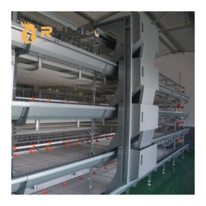 Pabrik RHMC penjualan terlaris lapisan kandang tipe-h baterai peternakan ayam Ayam Broiler sistem baterai kandang ayam untuk Ghana - Product Image 5