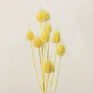 Flores Secas Eternas ZanTe, Dipsacus Sativus, Eryngium Sea Holly, 15 Cabezas, Flor de Cardo Grande, Día de la Madre - Product Image 3
