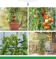 Tube en acier flexible gainé de plastique vert pour treillis de vigne, support de tomates, balcon, jardin, poignées robustes, hydroponique, taille personnalisée