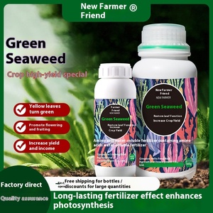 Green <span class=keywords><strong>Seaweed</strong></span> Liquid <span class=keywords><strong>Seaweed</strong></span> Fertilizer Melhoria do rendimento das culturas com raiz e folha Função Restauração - Product Image 3