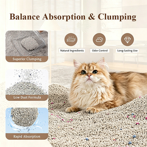 <span class=keywords><strong>Arena</strong></span> para Gatos de Alta Absorción y Aglomeración, Control de Olores, Sin Polvo, a Base de Carbón y Almidón de Yuca, Aglomeración Rápida, Superventas - Product Image 5