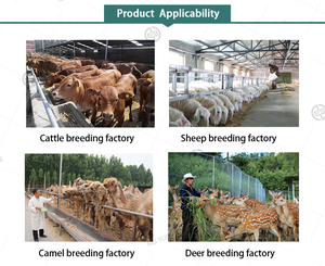 Potenciador de Leche para Vacas, Ovejas y Cabras a Precio de Mayoreo, Aumenta la Producción de Leche, la Cantidad de Grasa en la Leche y Reduce la Cantidad de Células Somáticas - Product Image 4